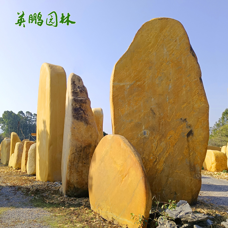  校园黄腊石大型黄蜡石 村口标石企业招牌石 