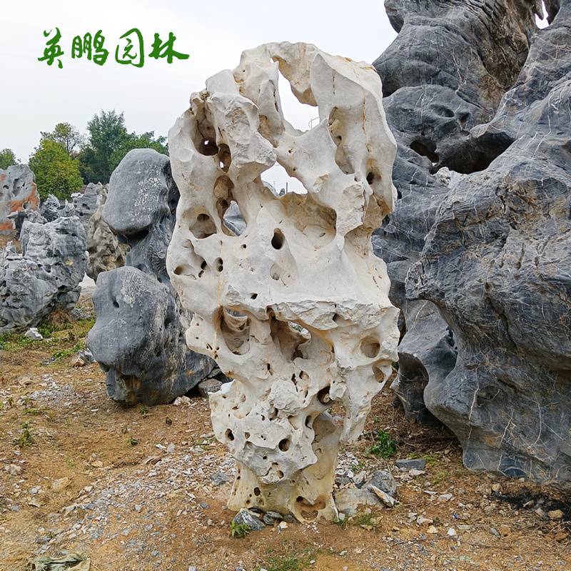 英鹏石业样式景观湖石供应 庭院景观太湖石 按需定制