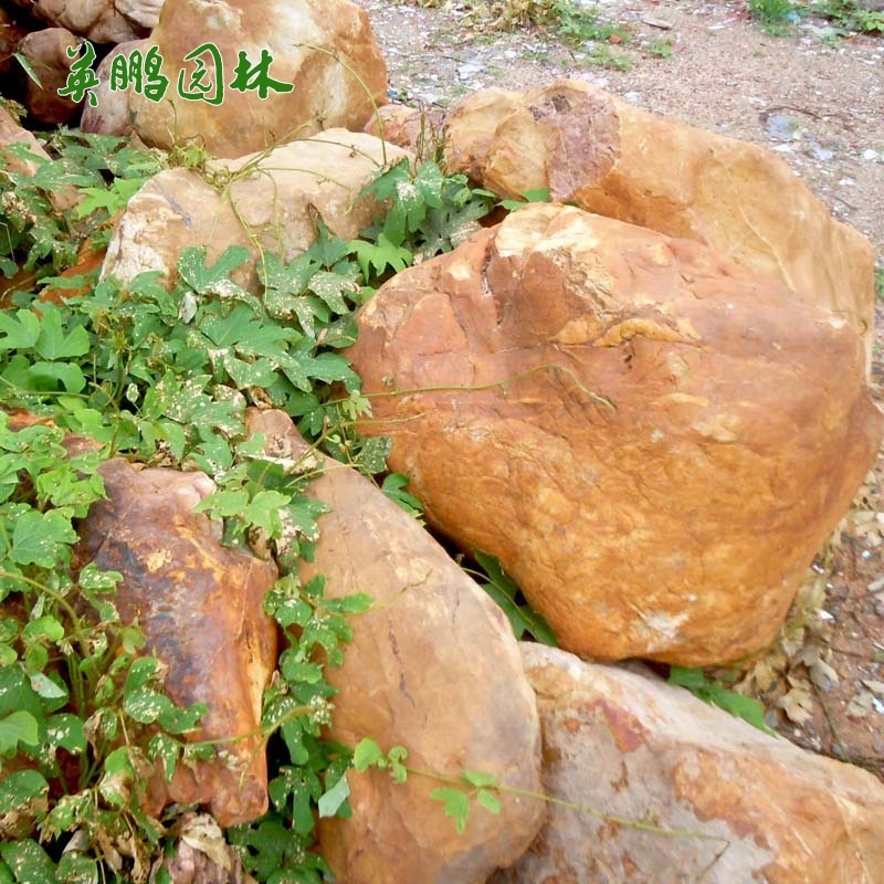 大型园林门牌刻字原石黄蜡石 水池假山驳岸护坡草坪点缀景观石厂