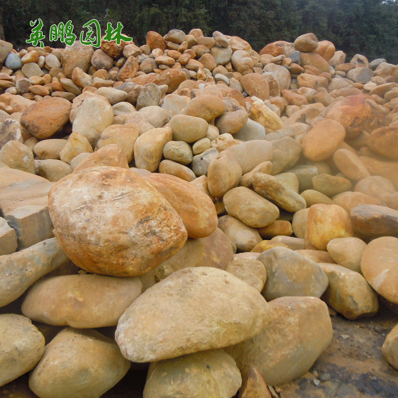 黄蜡石景石  草坪点缀 园林景观假山石 园林河流驳岸假山 