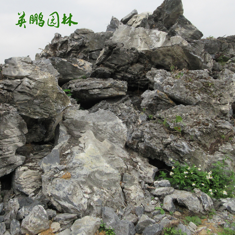  自然附树叠式英石原石 园林景观青龙石造景 草坪驳岸石