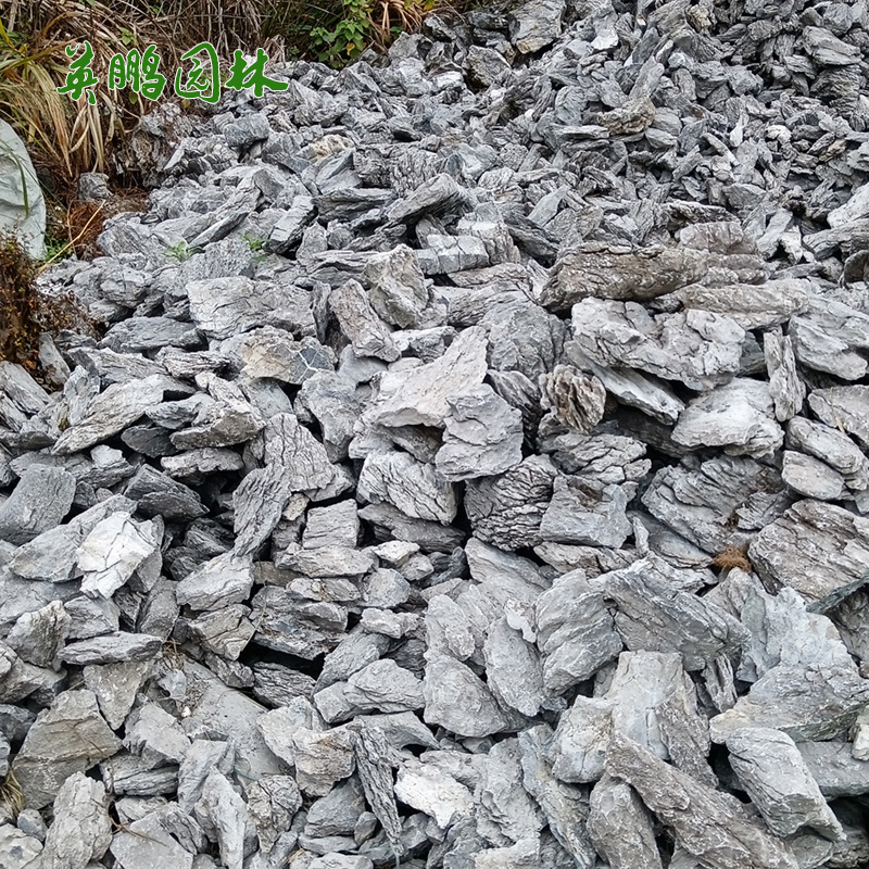 英德小英石英鹏基地直发 鱼缸景观造型石 草缸造景青龙石多规格