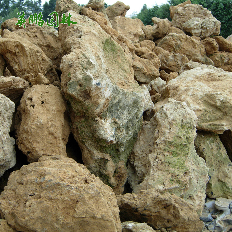 吸水石原石盆景 庭院鱼池假山石头 英鹏石厂天然上水石基地