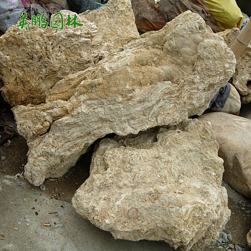 供应大型吸水石可附水 造型好吨位上水石 广 东景观石产地原石