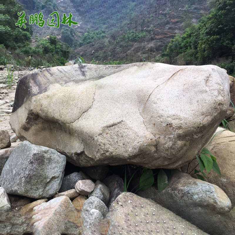 大型鹅卵石桐庐石点缀石 水冲石麻石矿山 水池河道驳岸原石