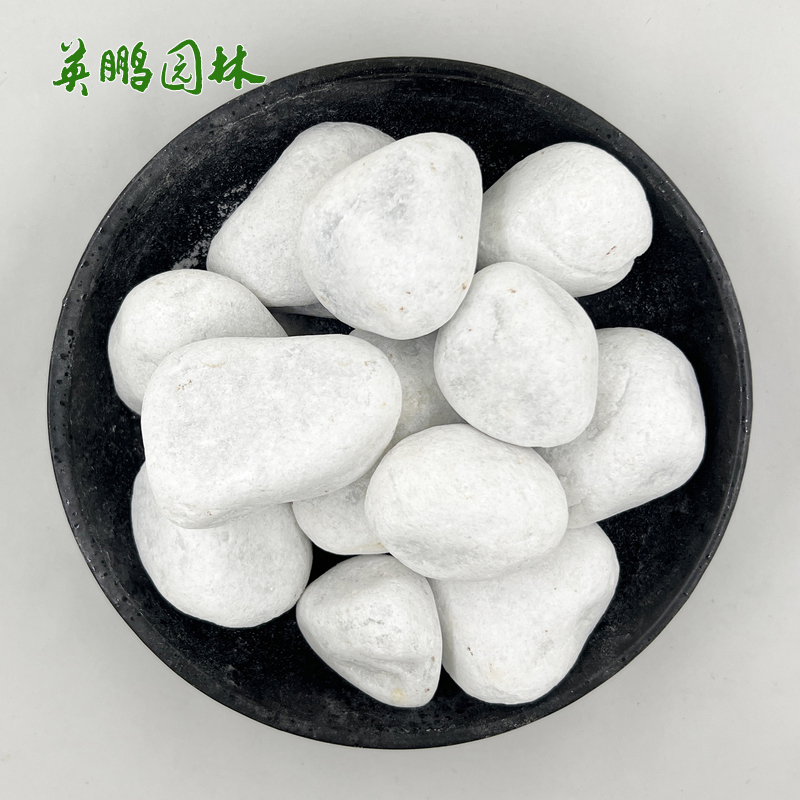 园林枯山水造景用 机制白色砾石水洗石 庭院铺路装饰