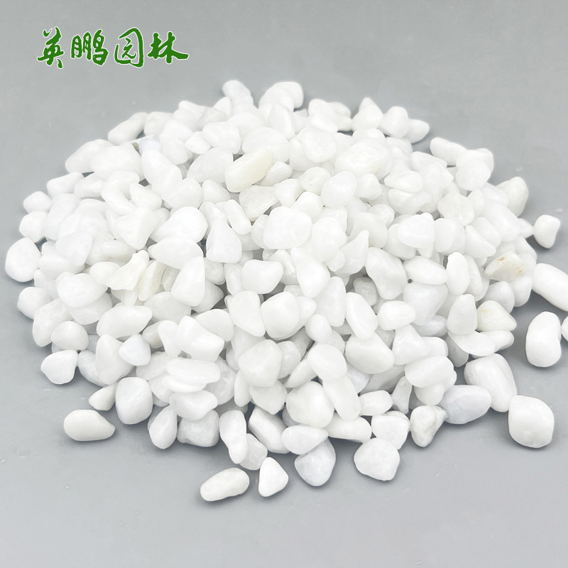 园林景观卵石 水磨石水洗石工厂 供应白色洗米石