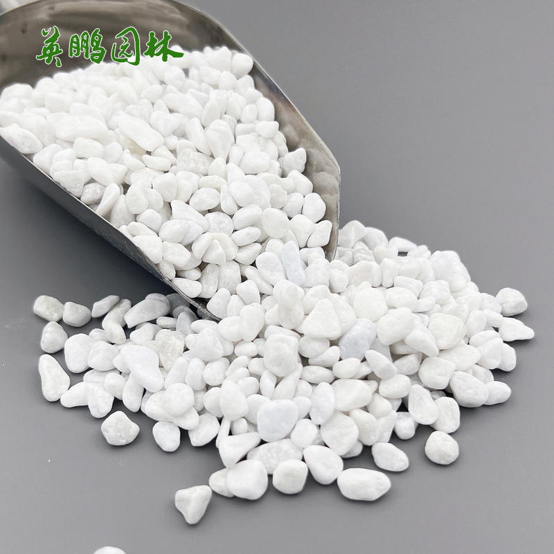 黑色水磨石子 白色水洗石洗米石 英鹏园林造景