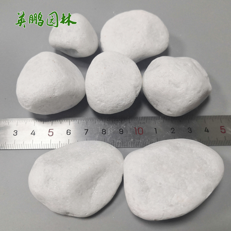园林造景白色小石头 机制白卵石白砾石 2-3公分铺路白石